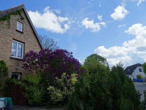 Apartamento Kapit�nshaus Breege