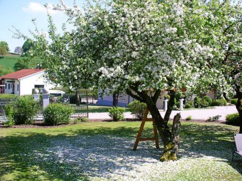 Apartamentos Ferienwohnungen Bloier