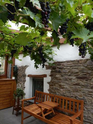 Apartamento Haus Mosel-oase