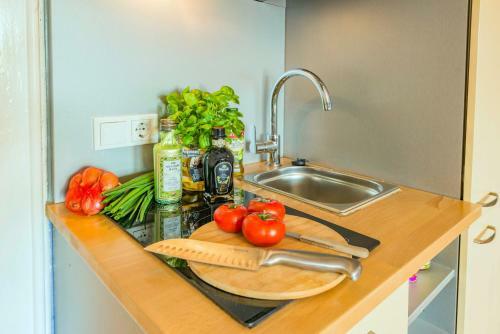 Apartamento Holiday Trier