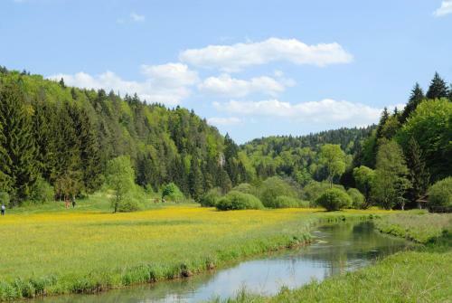 Chalet Am Bach
