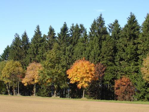 Apartamento Appartement Winterberg