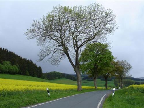 Apartamento Appartement Winterberg