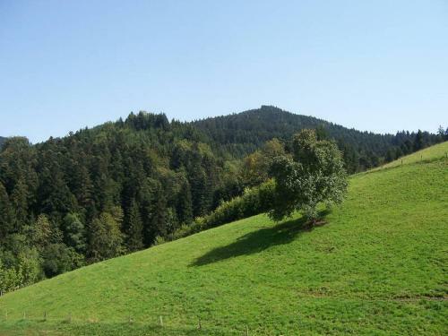 Apartamento Stinneshof