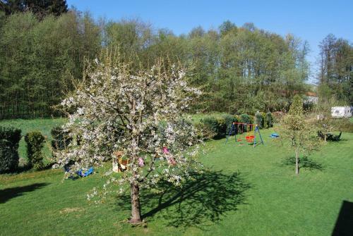 Apartamento Ferienwohnung-stricker-b-balkon-1-2
