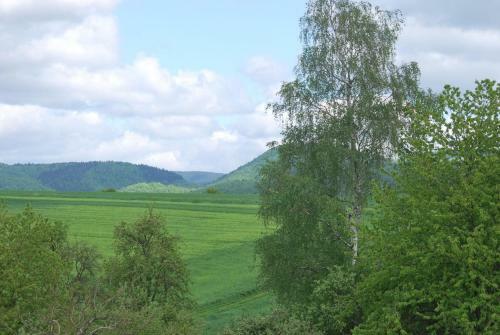 Apartamento Ferienwohnung-stricker-b-balkon-1-2
