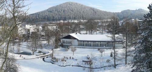 Apartamentos Fewo C Am Kurpark****