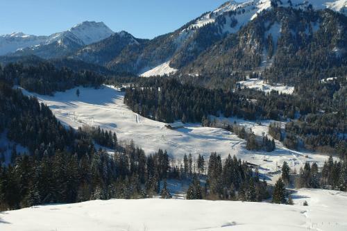 Hostal Gasthof Hirschen
