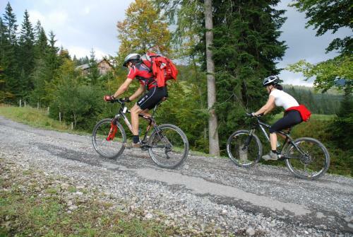 Hostal Gasthof Hirschen