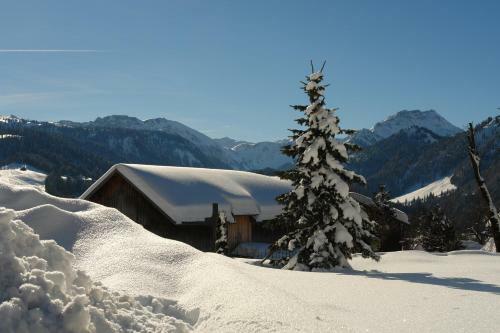 Hostal Gasthof Hirschen