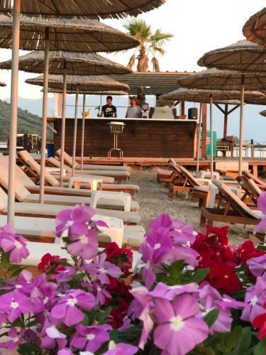 Envi Hotel