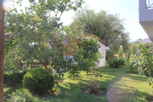 Hostal Vila Hadhri Borsh