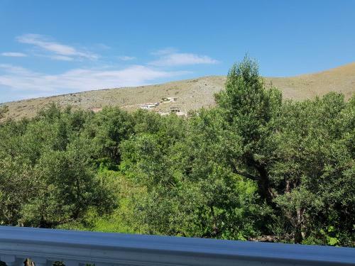 Hostal Irini's Garden Hotel