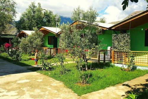The Olive Grove