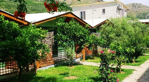 The Olive Grove