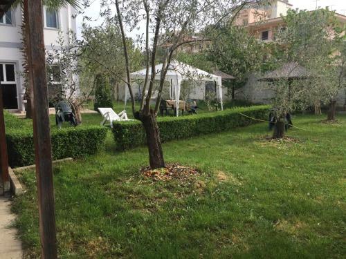 Hostal Villa Dede Nikolla