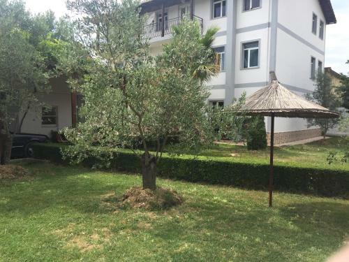 Hostal Villa Dede Nikolla