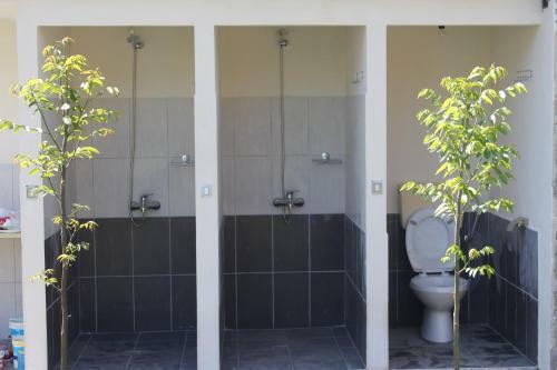 Backpacker Hostel