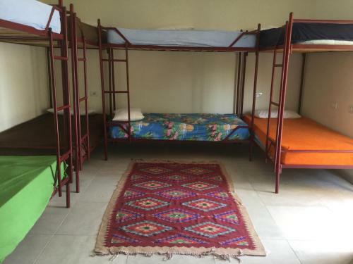 Backpacker Hostel