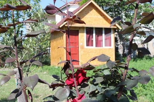 Backpacker Hostel