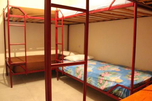 Backpacker Hostel