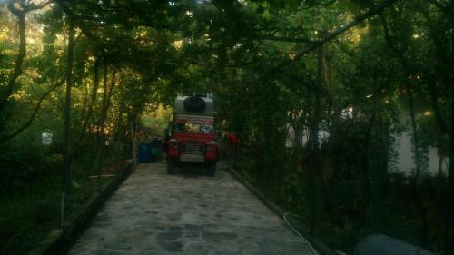 Camping Late
