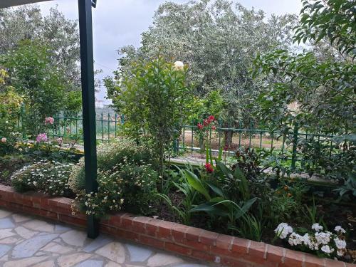 Apartamento Lagjini Oil