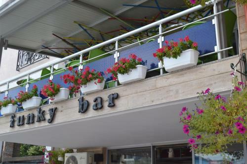 Hostal Funky Guest House & Bar