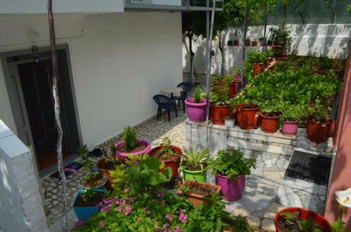 Apartamentos Villa Viktor