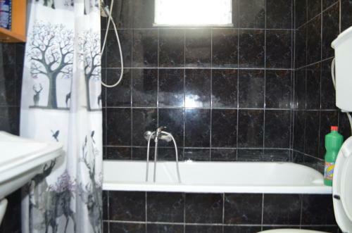 Apartamentos Villa Viktor