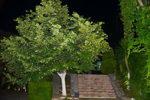Priv� City Hotel
