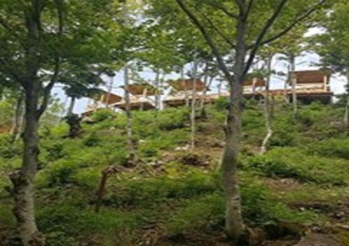 Agroturismo Thethi Paradise