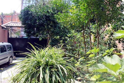 Hostal Villa Center