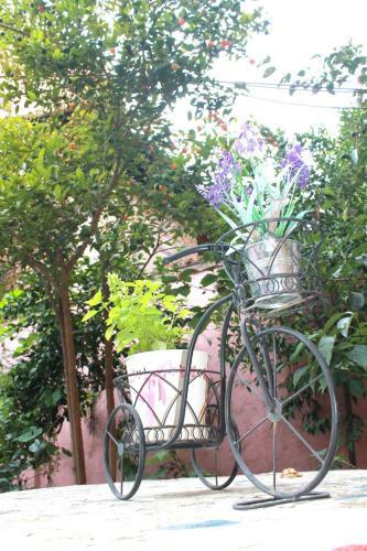 Hostal Villa Center