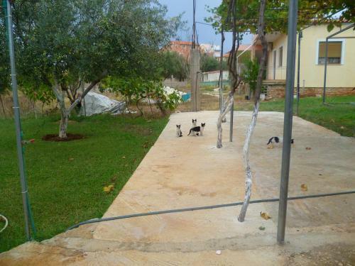 Ali Dura Apartments Ksamil