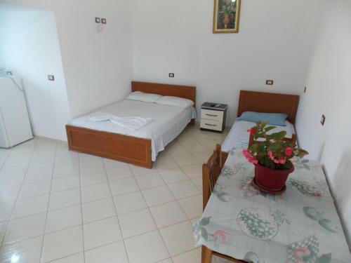 Tradition Apartments