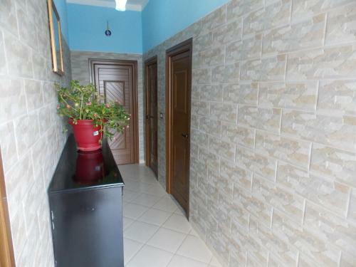 Tradition Apartments