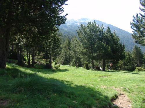 Apartmento Incles Novell II