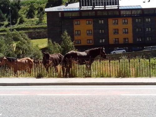 Apartmento Incles Novell II