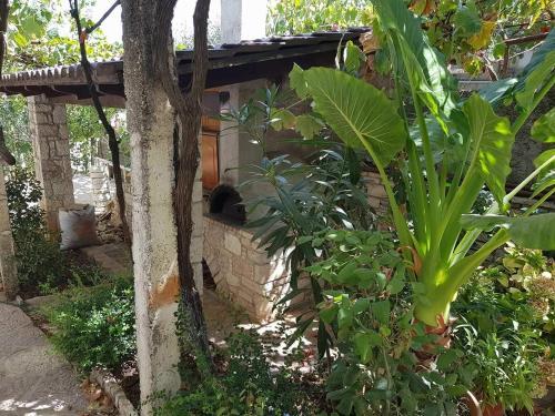 Hostal Eglent's Tourist House