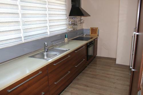 Furnished Apartment With City View