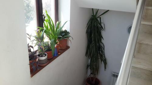 Apartment On Salyan ?ossesi 2