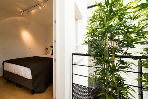Grand Place The Looks Apartment