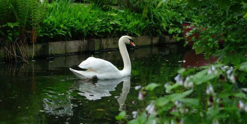 B&B Canal Deluxe