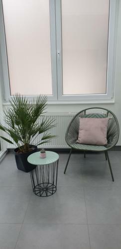 Apartment Villa Ksenija