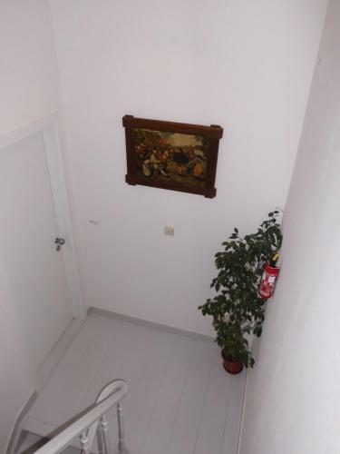 Bed & Breakfast Aparthotel Midi Residence