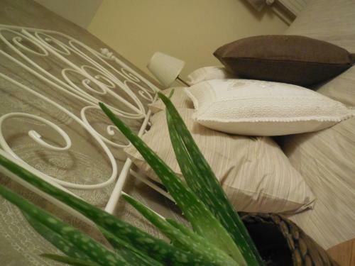 Bed & Breakfast The Room Brussels