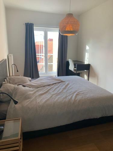 Apartamento Appartement Delmare