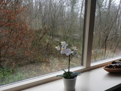 Ardennen Vakantie Chalet