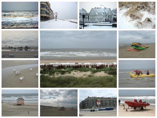 Apartamento Appartement Sur La Digue - De Haan - Le Coq - Silver Beach